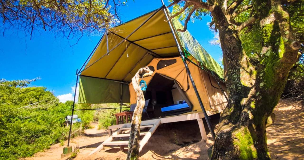 Back Of Beyond Dune Camp Yala Eksteriør billede