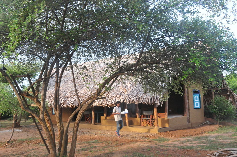 Back Of Beyond Dune Camp Yala Eksteriør billede