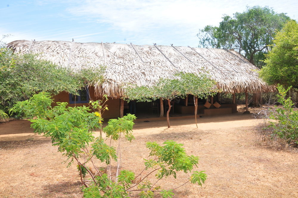 Back Of Beyond Dune Camp Yala Eksteriør billede