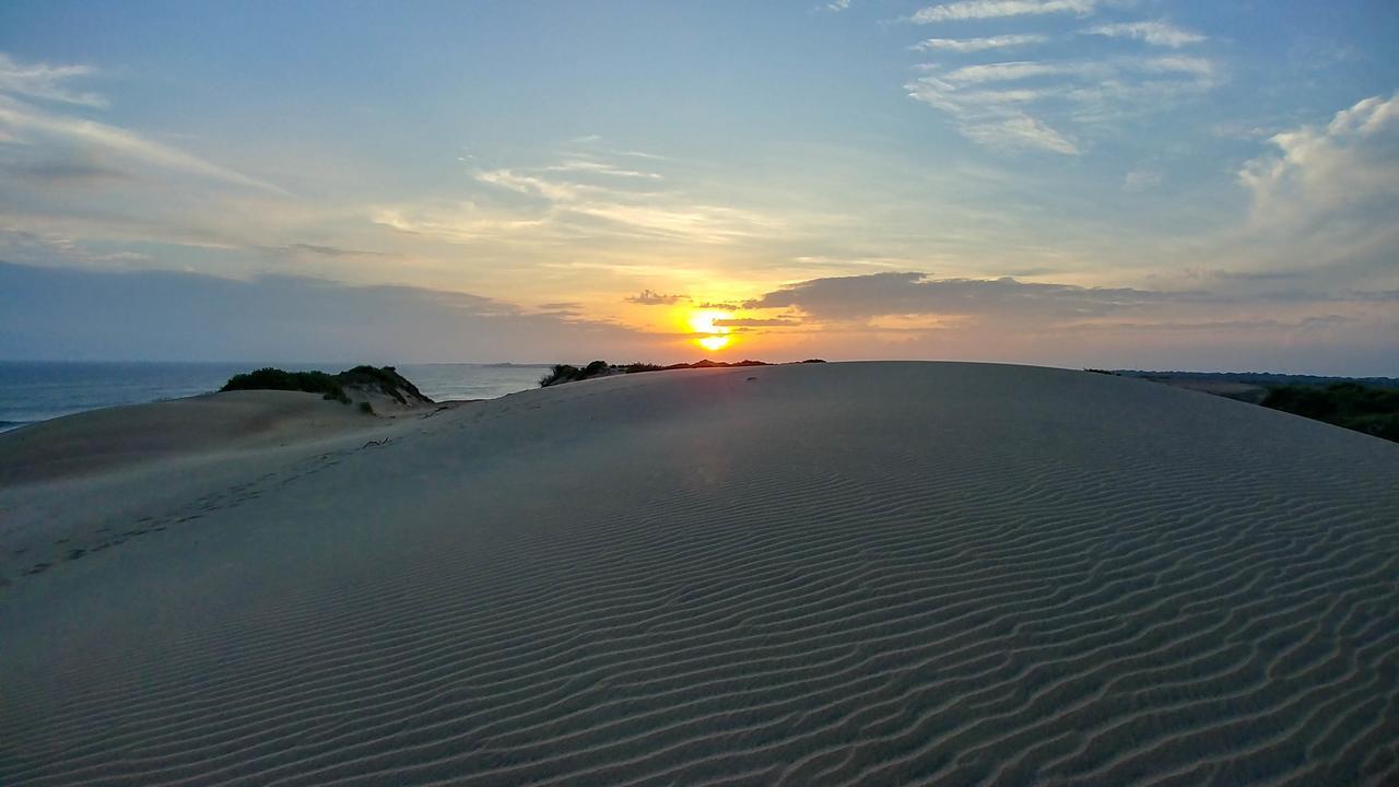 Back Of Beyond Dune Camp Yala Eksteriør billede