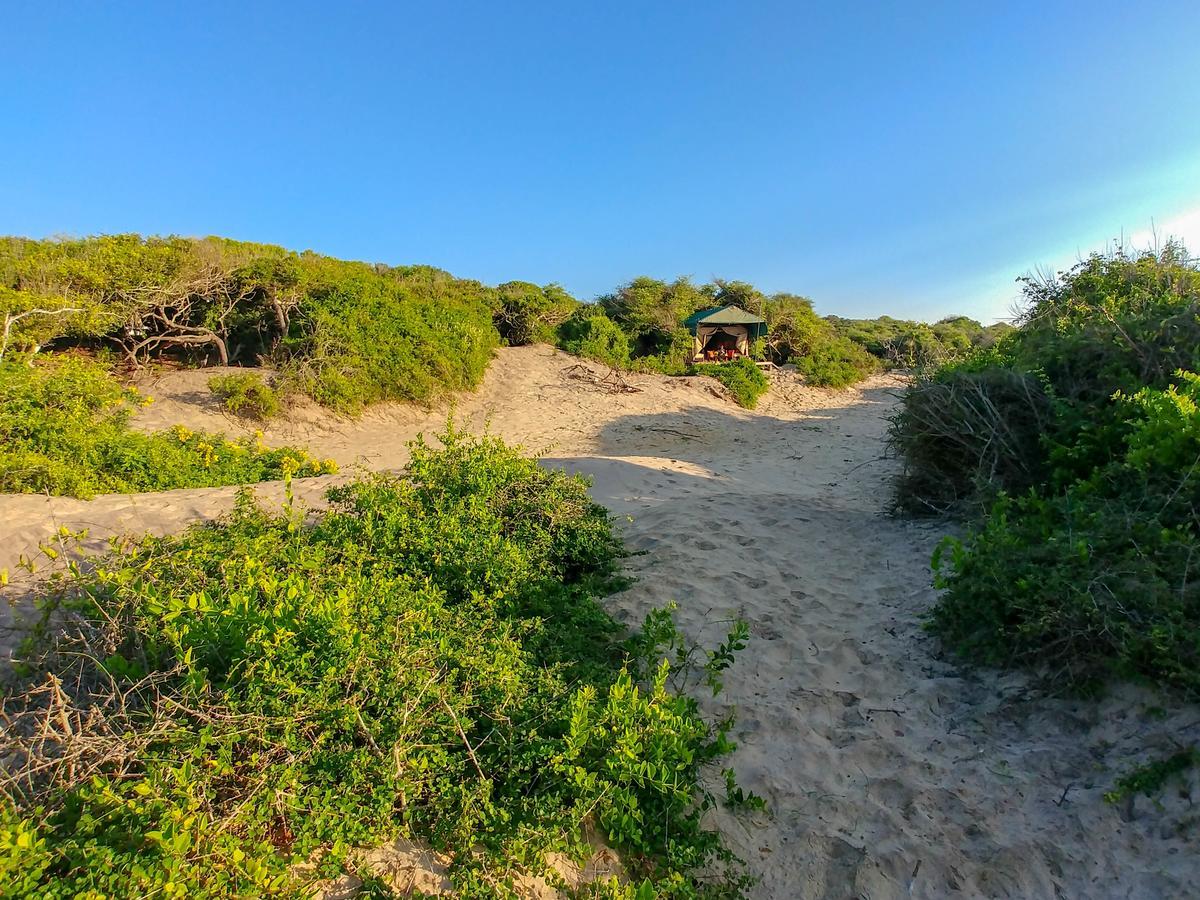 Back Of Beyond Dune Camp Yala Eksteriør billede