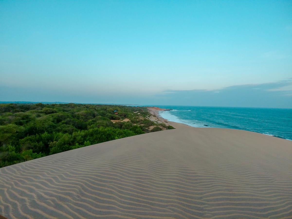 Back Of Beyond Dune Camp Yala Eksteriør billede