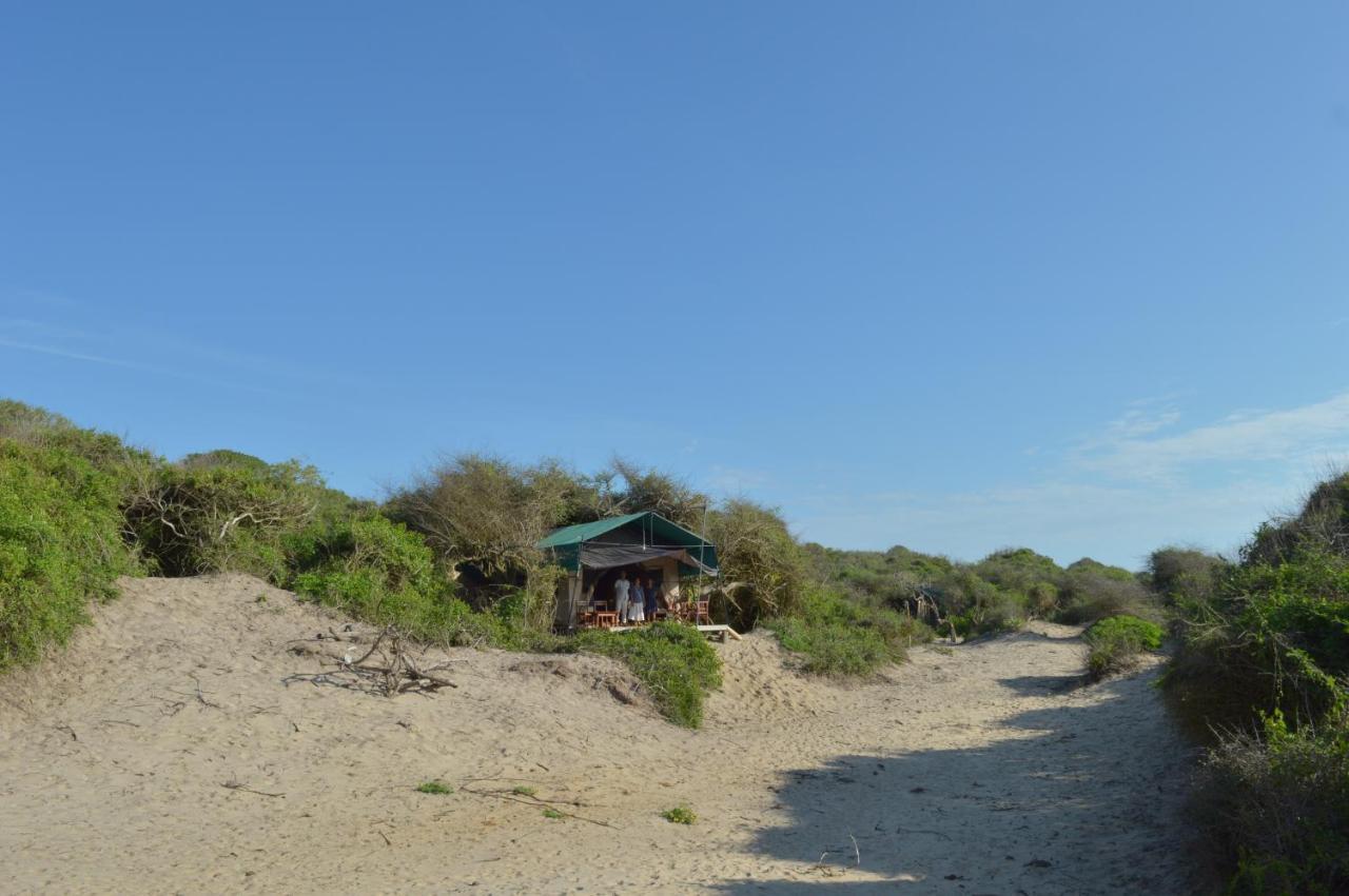 Back Of Beyond Dune Camp Yala Eksteriør billede